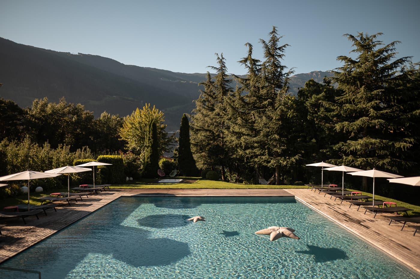 WELLNESS & REGENERATION