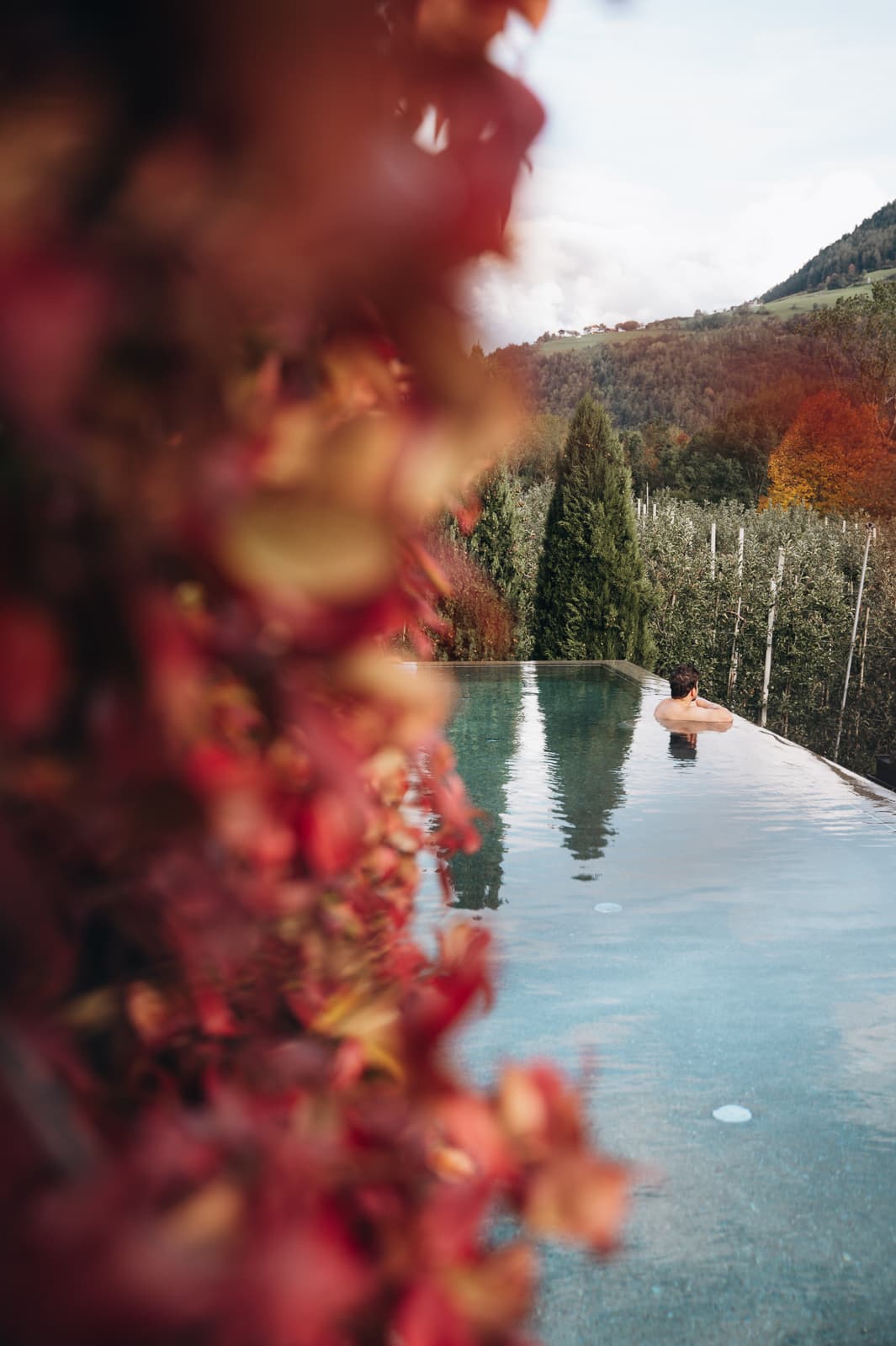 Törggele Special 3+1